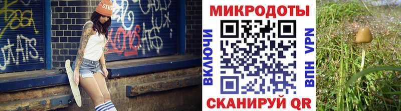 Псилоцибиновые грибы Cubensis  Петропавловск-Камчатский 